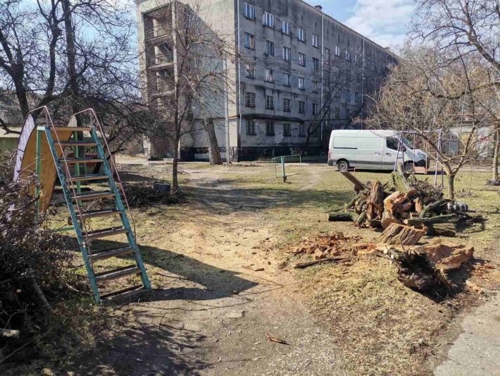 В центре Бердянска дерево упало на детскую площадку (фото)