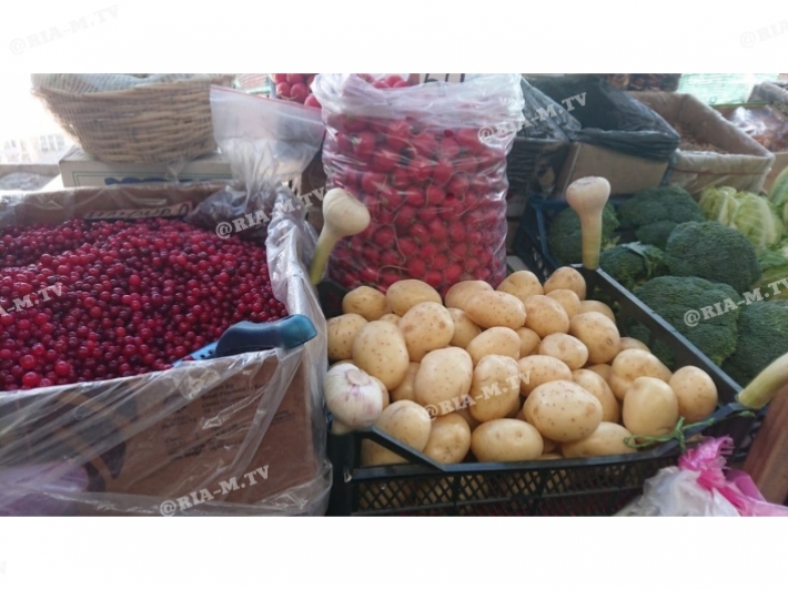 В Мелитополе на рынках появился молодой картофель - почем продают (фото)