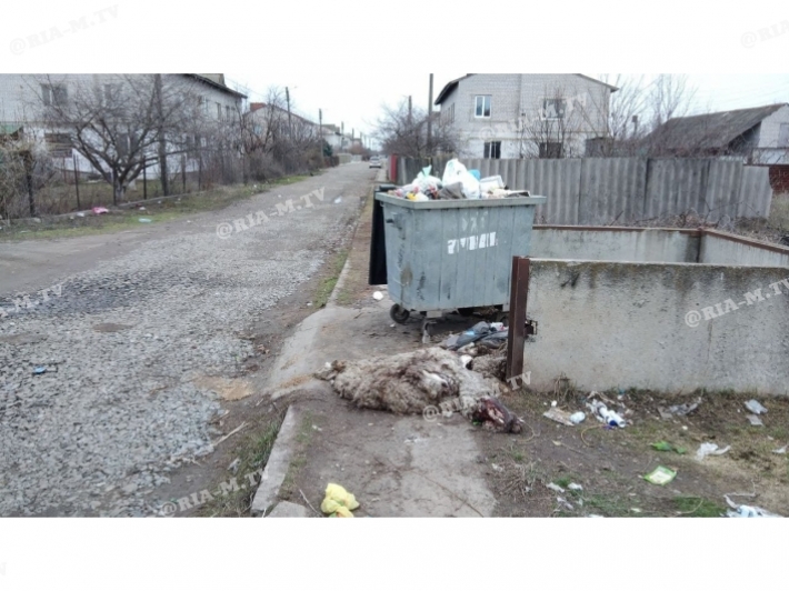 В Мелитополе на улице коммунальщики обнаружили страшную находку (фото 18+)