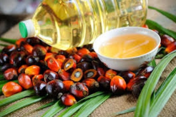 Пять мифов о вреде пальмового масла, в которые до сих пор верят