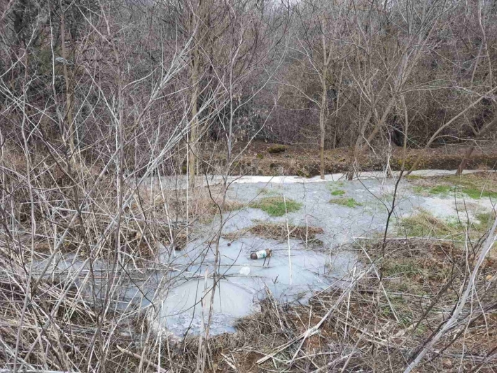 В Запорожской области в водоем попали канализационные стоки (фото)