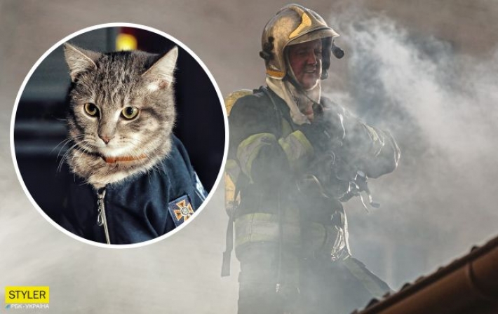В Киеве кот стал спасателем и 