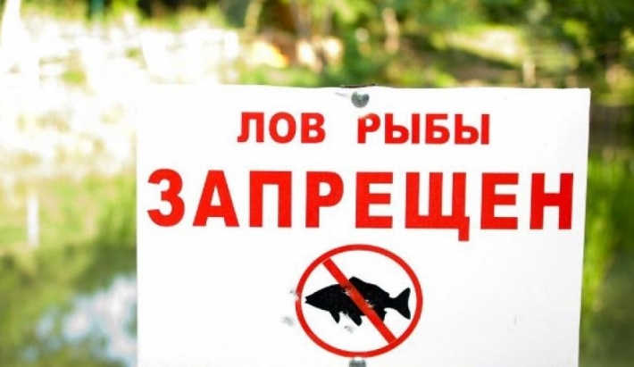 В Запорожской области запретят рыбалку - когда и где (карта)