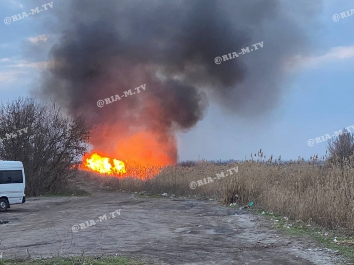 В Мелитополе бушует масштабный пожар - неизвестные подожгли камыш возле автозаправки (фото, видео)