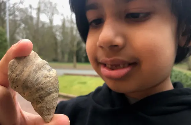 Ребенок случайно обнаружил окаменелости, которым около 500 млн лет: фото удивительной находки