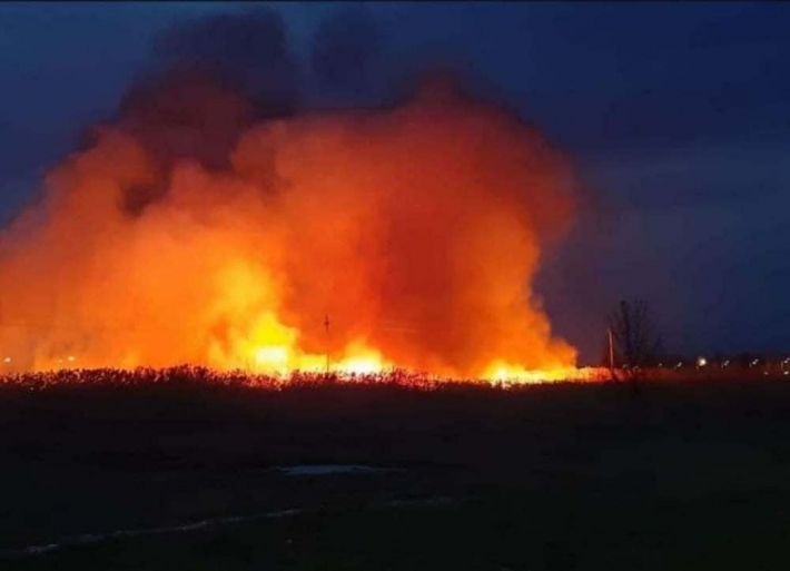 Под Одессой вспыхнул масштабный пожар у озера: спасатели победили огонь, видео