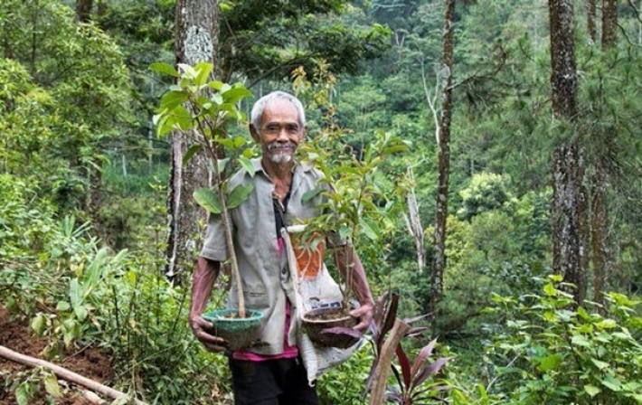 Индонезиец в одиночку высадил 11 тысяч деревьев (видео)