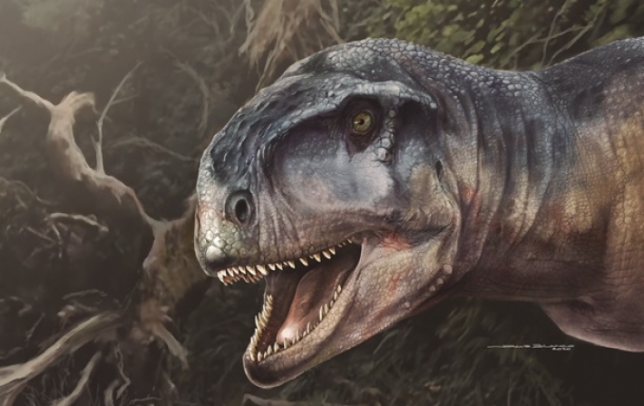 В Аргентине нашли новый вид динозавров-хищников (фото)