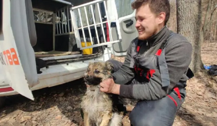 В Харьковской области со льдины сняли собаку, которая дрейфовала на ней без еды неделю