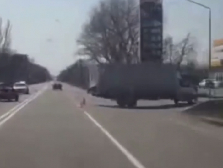 На трассе под Мелитополем легковушка влетела в грузовик (видео)