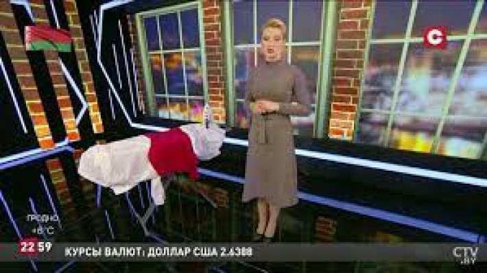 Лазят по мусоркам: пропагандистка Лукашенко оскорбила украинцев, прославляя диктатуру (видео)
