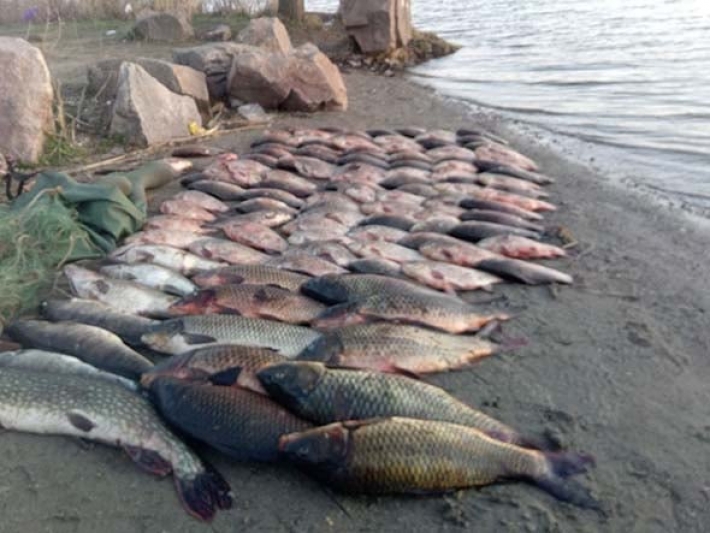 В Запорожской области задержали браконьера с 80 кг рыбы (фото)