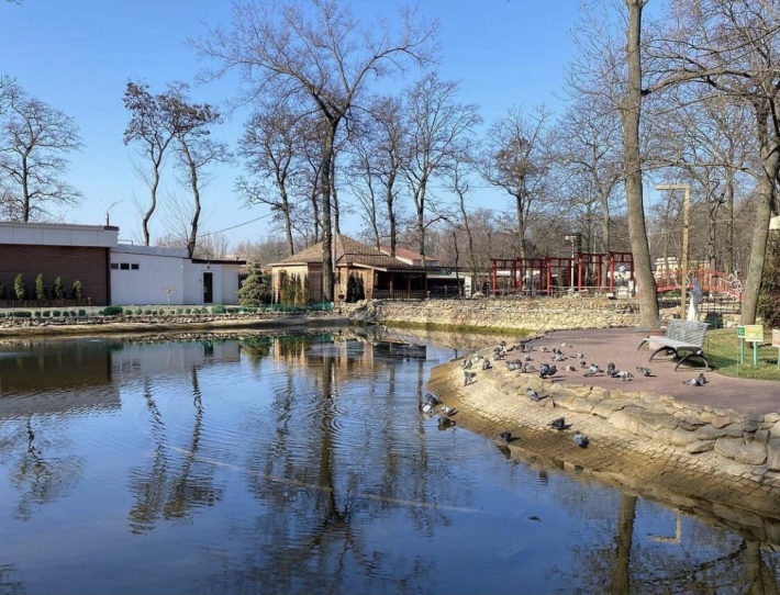 В мелитопольском парке обмельчал пруд - что говорит администрация (видео)
