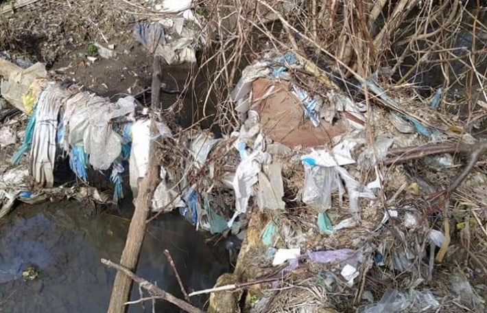 В Запорожье волонтеры очистили балку с ручьем от мусора (фото)