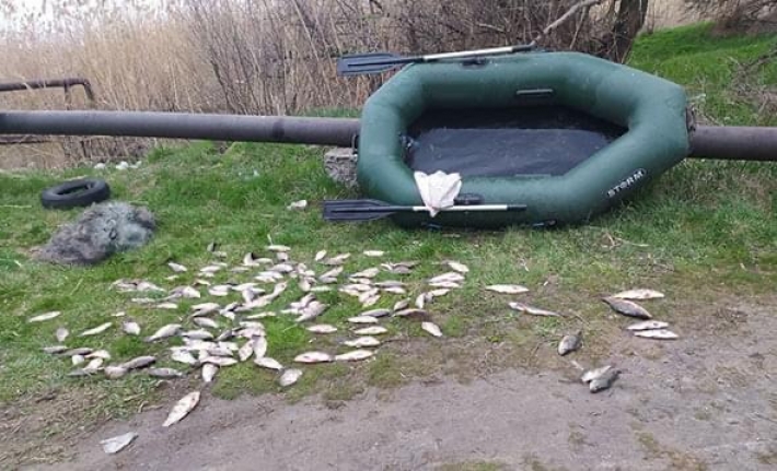В Запорожской области мужчина сетями выловил более 20 кг рыбы (фото)