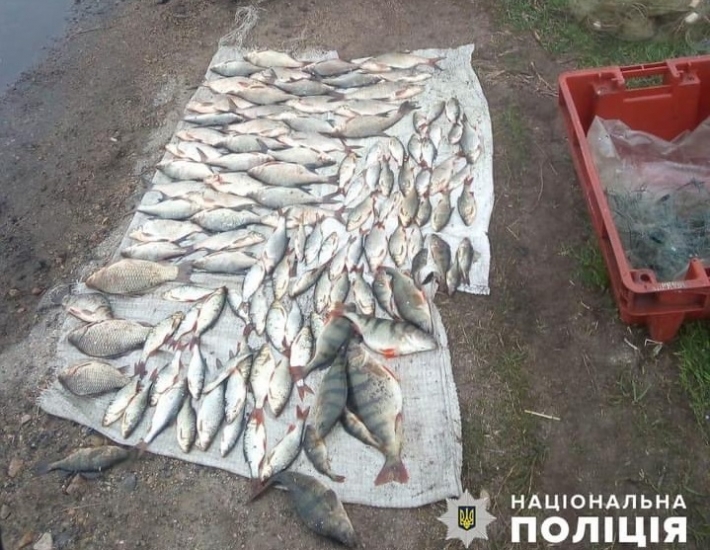 На запорожской трассе остановили браконьера с полным багажником рыбы