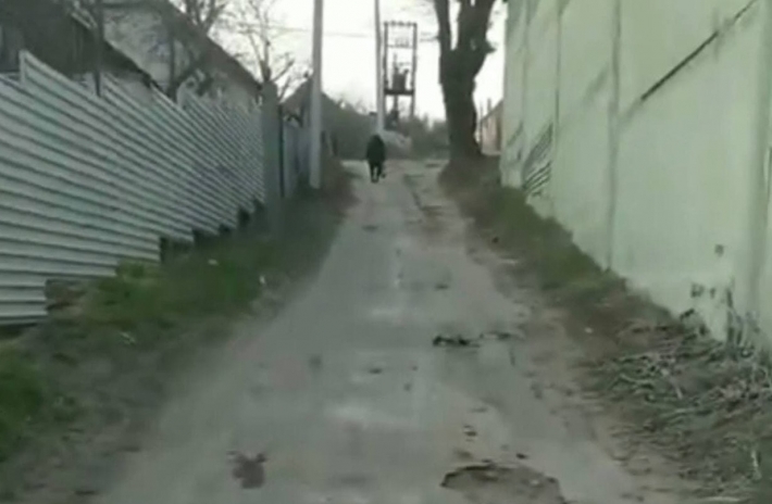 В Мелитополе старыми электроопорами разворотили дорогу (видео, фото)