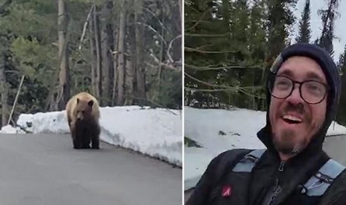 В США медведь преследовал бегуна (видео)