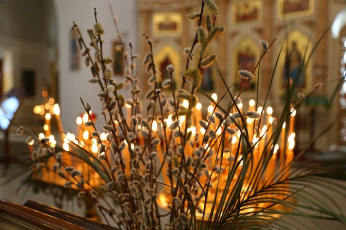 Как жителям Мелитополя освятить вербу в Вербное воскресенье