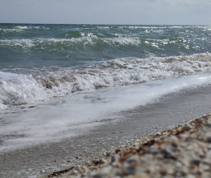 В сети показали изумрудное море в Кирилловке (видео)