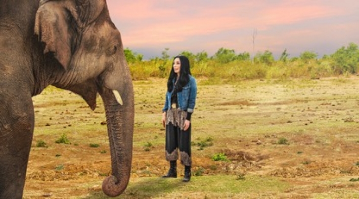 Певица Шер спасла "самого одинокого слона в мире" - как ей это удалось