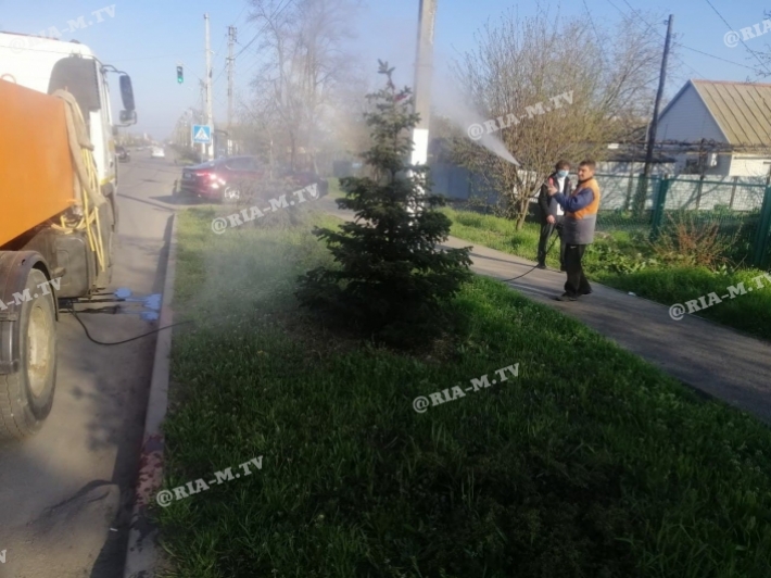 В Мелитополе коммунальщики моют даже елки с травой (фото, видео)