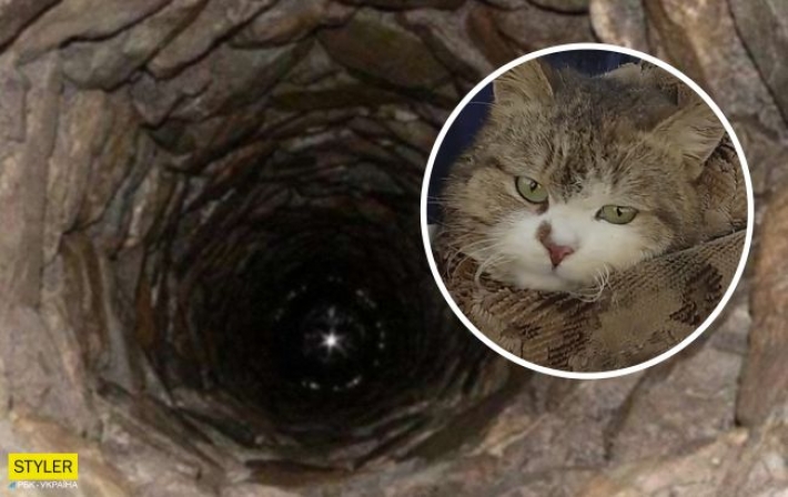 Под Харьковом дети спасли кота, который две недели просидел в глубоком колодце (видео)