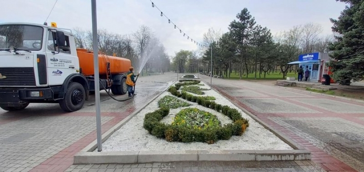 В запорожском парке высадили рекордное количество цветов