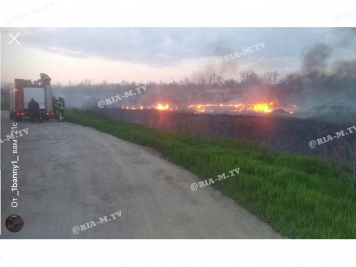 В Мелитополе масштабный пожар возле АЗС (фото)