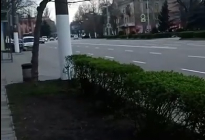 Жители Мелитополя предлагают закатать клумбы в асфальт (видео)