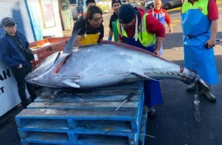 Рыбаки выловили из моря "чудище" весом в 271 килограмм