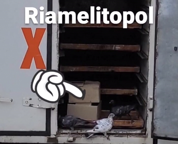 В Мелитополе на фургон с хлебом напали "налетчики" (фото)
