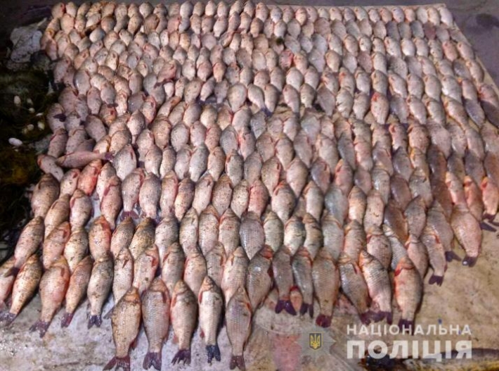 В Запорожской области браконьер наловил рыбы на 9 тысяч гривен