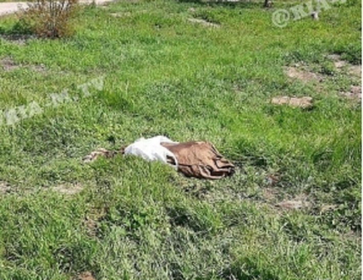В Мелитополе в частном секторе обнаружили труп в мешке (фото 18+)