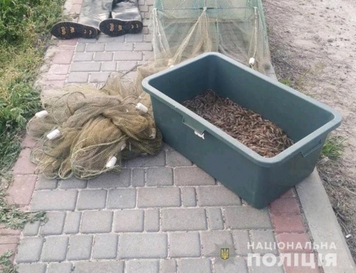 Житель Мелитопольского района наловил креветки на 8 тысяч гривен