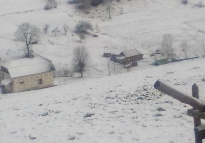 Прикарпатье завалило майским снегом: в сети показали сказочные фото