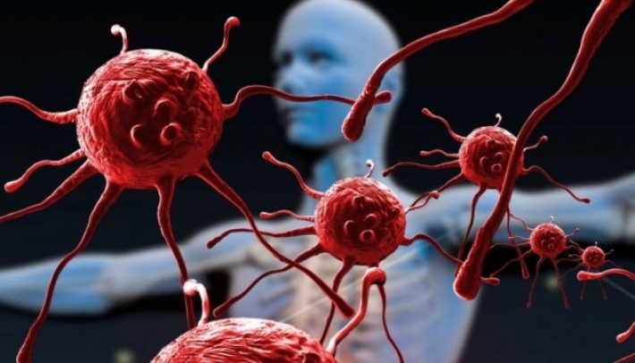 Почему иммунитет живет в кишечнике
