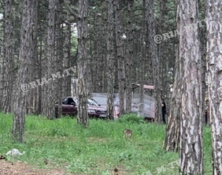В лесопарке Мелитополя народ строит шалаши – зону отдыха уже не узнать (фото)