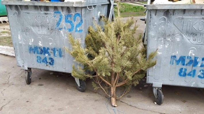 "Еще один сдался" - в Мелитополе выбросили новогоднюю елку (фото)