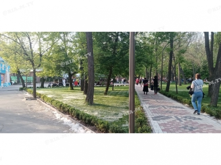 Дожились – жители Мелитополя жгут тополиный пух в парке (фото)