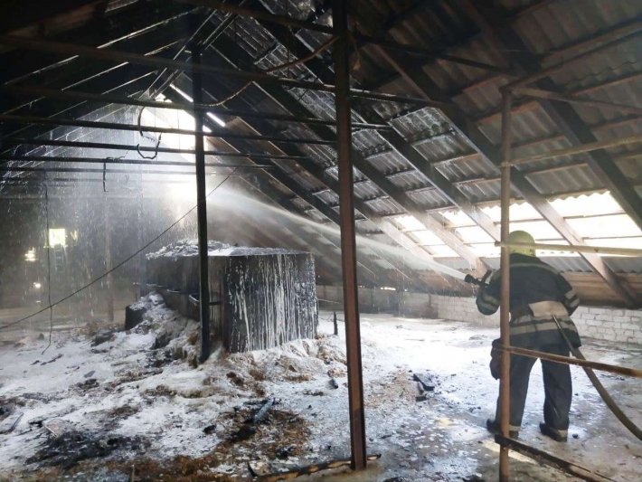 В Запорожье на территории частного предприятия горела крыша (фото)