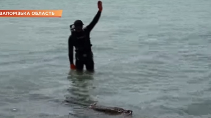 В Кирилловке спасатели в море нашли оружие (видео)