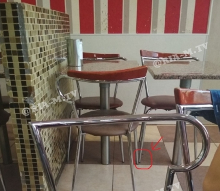 В Мелитополе в кафе, которое проверял «Ревизор», завелись тараканы (фото)