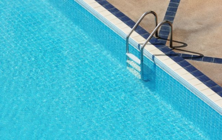 Утка с утятами устроила заплыв в бассейне во Львове: милое фото