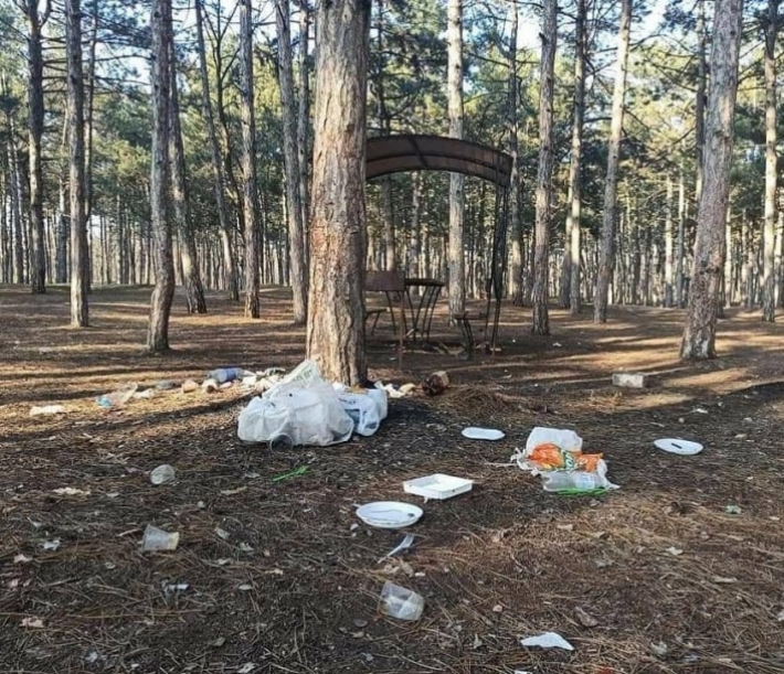 В Мелитополе чиновники с общественниками будут убирать свинарник в лесопарке
