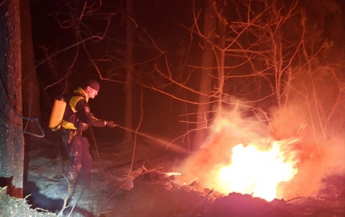 В Канаде бушуют лесные пожары (видео)