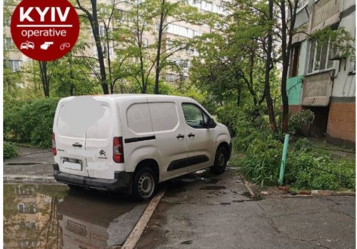 Пусть все прыгают через лужу: в Киеве водитель отметился феерической парковкой, фото