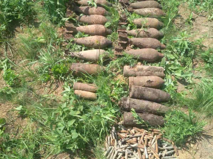 В Запорожской области обнаружили схрон со снарядами (фото)