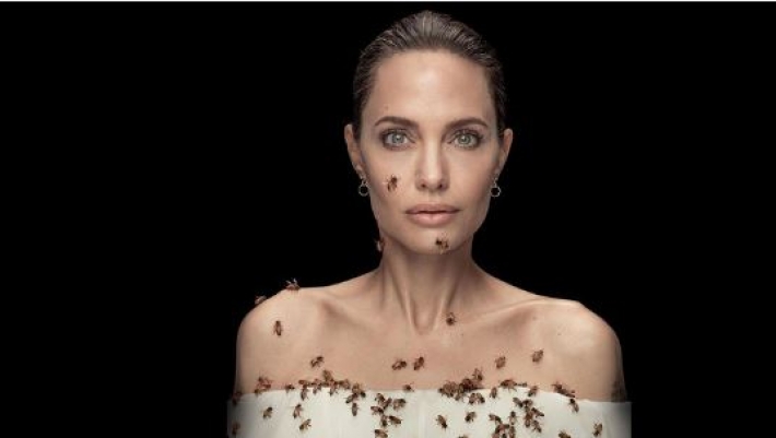 Джоли снялась с роем пчел для привлечения внимания к их защите (видео)