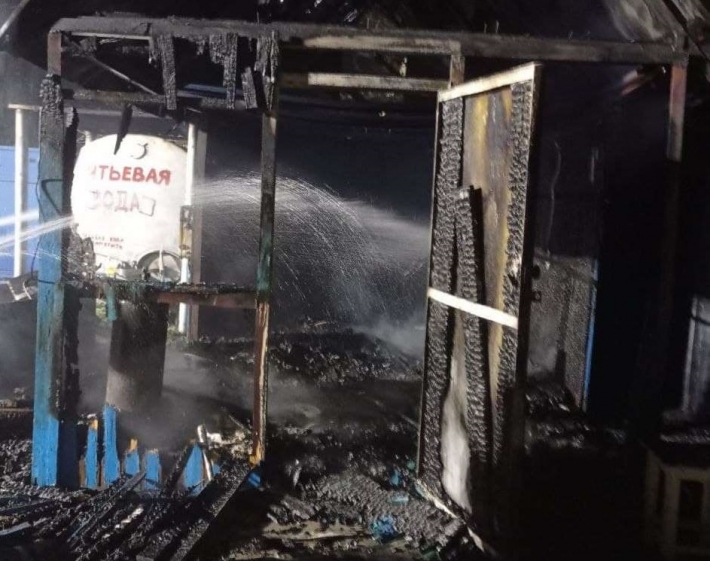 В селе Запорожской области тушили пожар на территории частного дома